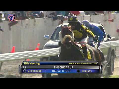 Winners of the day - 11th Meeting 2019 Season