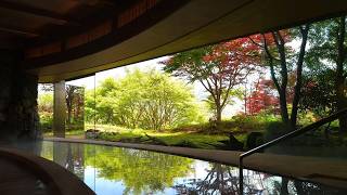 Hakone Gora Byakudan, Japan | Travel With Yashvi
