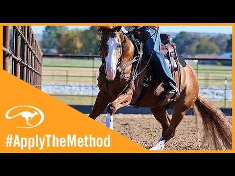 Training Tip: How Rollbacks on the Fence Can Improve Your Horse