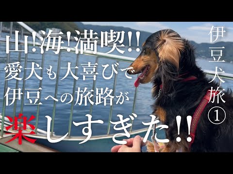 YouTube動画を再生