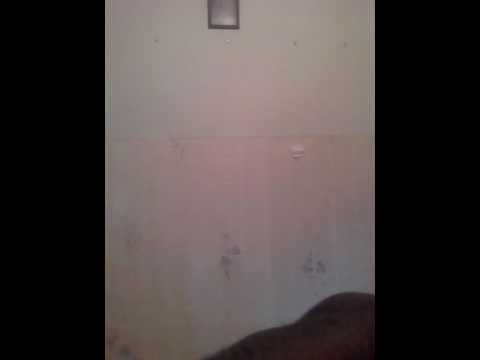 D MONEY z STOP CALLING Ft. LIL MOUSE x (TDG) TAE