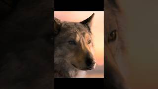 The Birth of New Life in Alpha 🐺🌅