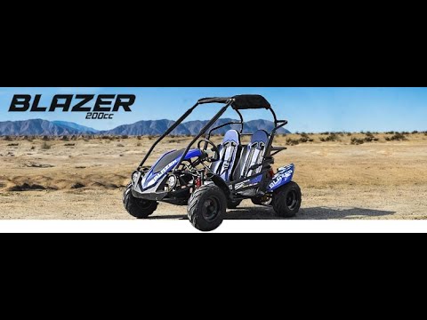 Buggy ado 2 places 200cc Millénium bleu