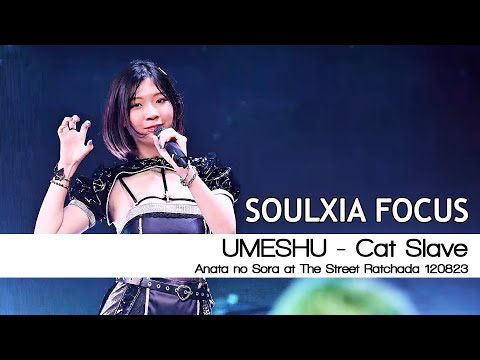 4K | UMESHU - Cat Slave | SOULXIA Focus | Anata no Sora 120823