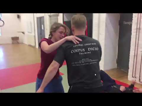 Adèle Haenel punching men