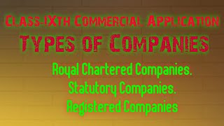Types of Companies.. Class IX ICSE Commercial Application