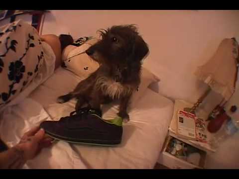 Vans Dustin Dollin No Skool Tre Advertisment