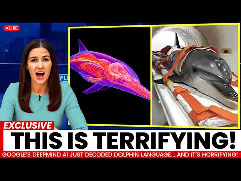 Scientists Finally Cracked Dolphin Language Using AI... What Was FOUND Shocked Everyone