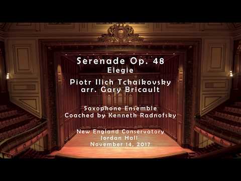 P. Tchaikovsky, "Serenade in C for Strings", Mvt. III. Elegie