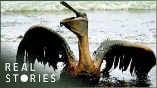 BP: $30 Billion Blowout (Investigative Documentary) | Real Stories