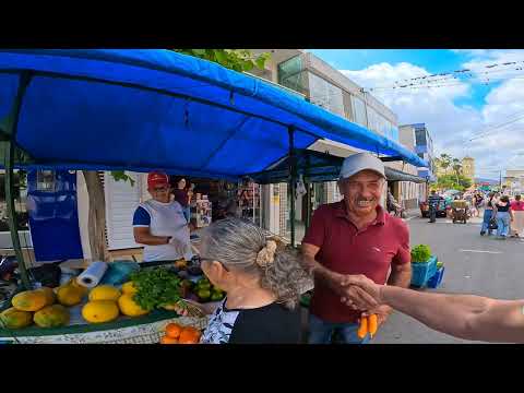Hoje eu estou na feira livre da cidade de cumaru Pernambuco pense numa feirinha arretada de boa