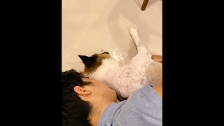 คอร์ดเพลง สิ่งสุดท้ายที่อยากจะบอก โจอี้ ภูวศิษฐ์ คอร์ดเพลง สิ่งสุดท้ายที่อยากจะบอก โจอี้ ภูวศิษฐ์