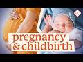 Pregnancy Childbirth Sex Ed 9