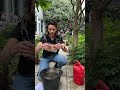 Garden Jobs For June Gardeningtips Garden Gardening Plants Flowers
