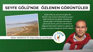 Seyfe Gölü'nde özlenen görüntüler | @ozerakdemir1 Çepeçevre Yaşam