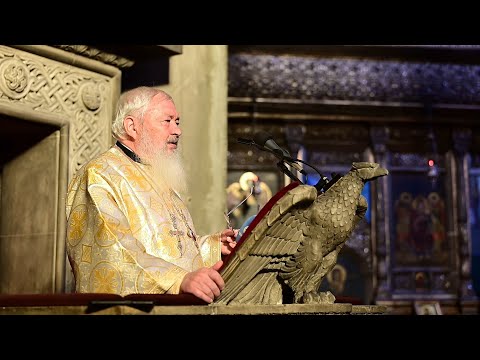 Mitropolitul Andrei: „Orbirea sufletească” | Predică la Duminica a 31-a după Rusalii