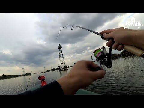 Spin 2.40M 15-50 грамм