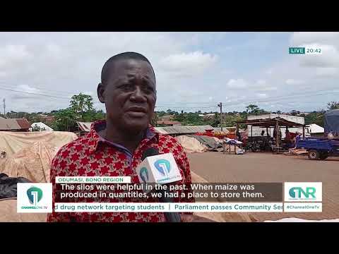 MAIZE FARMERS CRY FOR HELP: Abandoned Sunyani Silos Blamed for Post-Harvest Losses