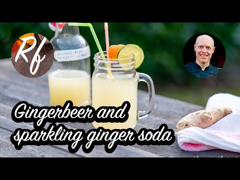 Ferment your own gingerbeer and sparkling ginger soda with gingerbug and lemon, organic ginger and some sugar. >