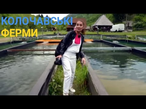 Kołoczawa — Wideo