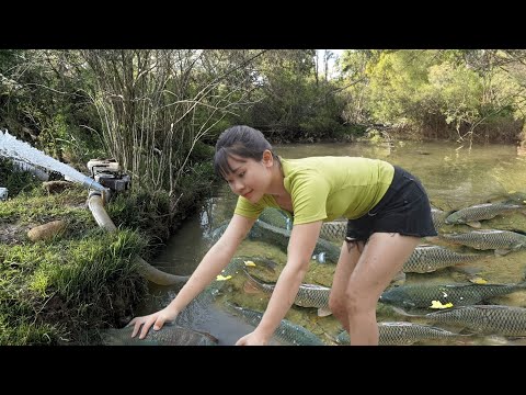 Great Outdoor Fishing | Catching A Lot Of Big Fish, Cast Net Fishing, fish trap | Fishing