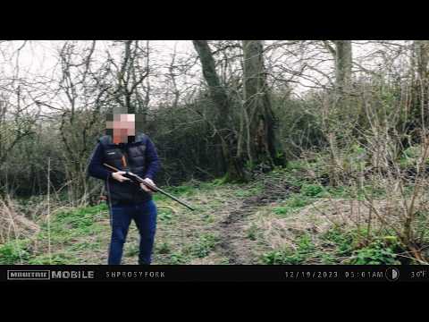 Fueron a Acampar y Descubrieron Algo Terrible