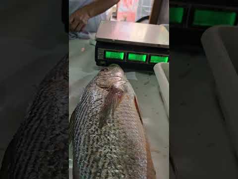 FEIRA livre Bezerros-pe