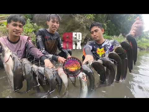 SE04EP151 - MGA TINANGAY ng BAHA SA BAGONG LUNGGA! SpearFishing San Pabo City, Laguna