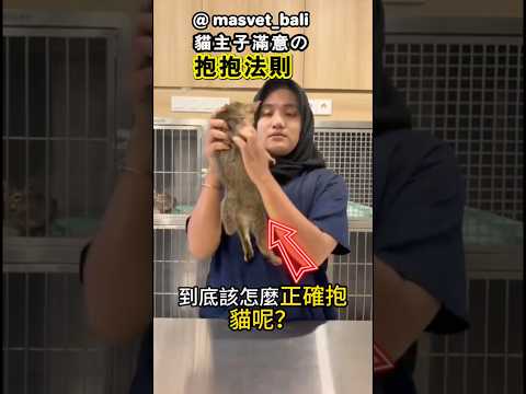貓怎麼抱才對？