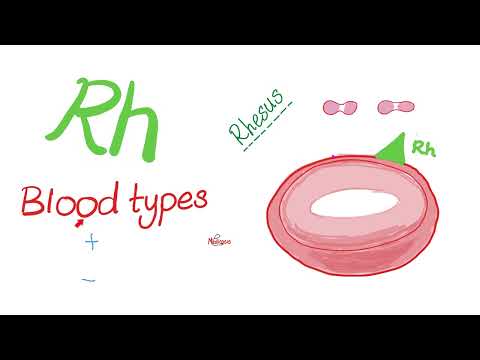 ABO Blood Antigens and Rh (D Antigen) 🩸 | Biology 🧪