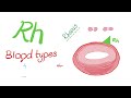 ABO Blood Antigens and Rh (D Antigen) 🩸 | Biology 🧪
