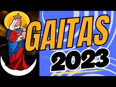 GAITAS 2023 | FALCON TIENE | SELECCION GAITERA - CARIRUBANA | EL GAITERO DE A PIE |