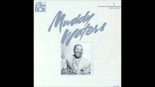 Muddy Waters You don't have to go