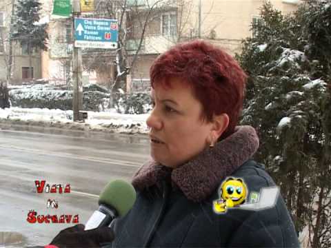 VIS 20.02.2009 - Tinerii si Europa