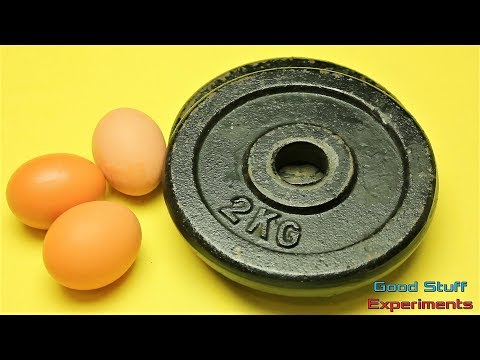 How Strong is an Egg - Science Experiment