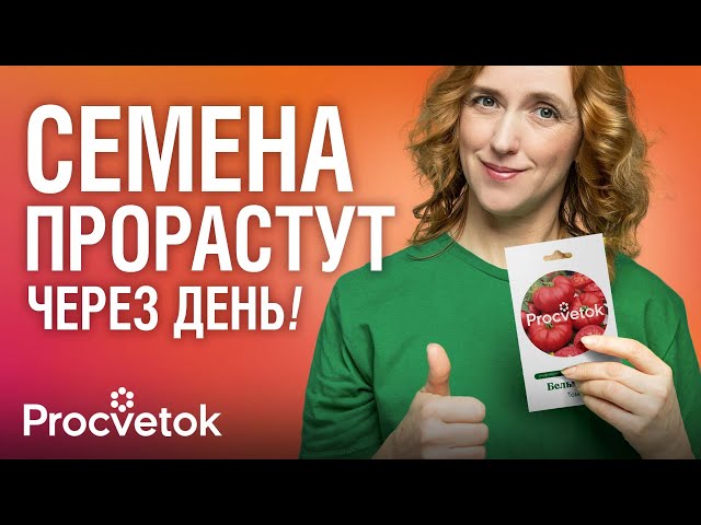 ВЗОЙДУТ ЛЮБЫЕ СЕМЕНА, если знать это! Тест 12 методов обеззараживания и улучшения всхожести семян