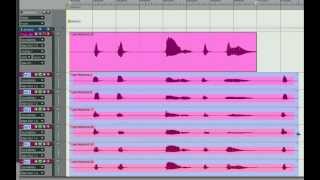 Loop Recording in Digital Performer