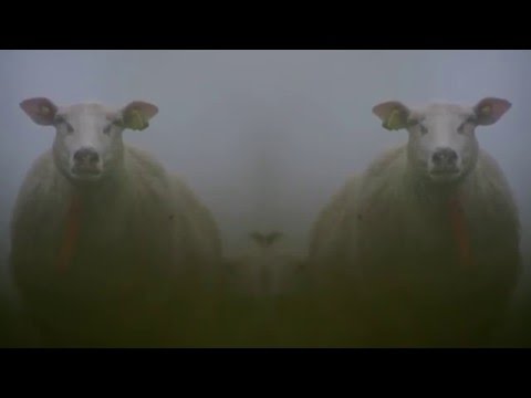 "Desireless", 1975, Spjärnsvallet (Sweden)