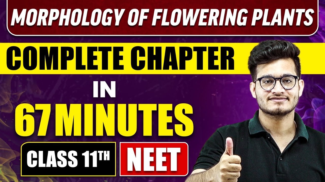 MORPHOLOGY OF FLOWERING PLANTS IN 67 Minutes | Full Chapter Revision | Class 11 NEET