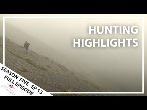 Hunting Aotearoa Series 5 EP13 - Highlights of Series 5 so far