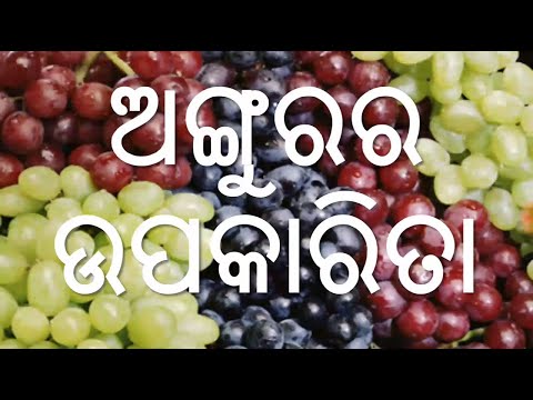 ଅଙ୍ଗୁରର ଉପକାରିତା,ODIA HEALTH TIPS AND BENEFITS,ALL ABOUT GRAPES,ODIA HEALTH BENEFITS OF GRAPES Video