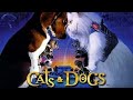 Cats And Dogs In Tamil