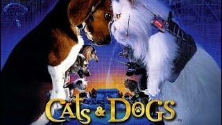Cats and dogs in tamil