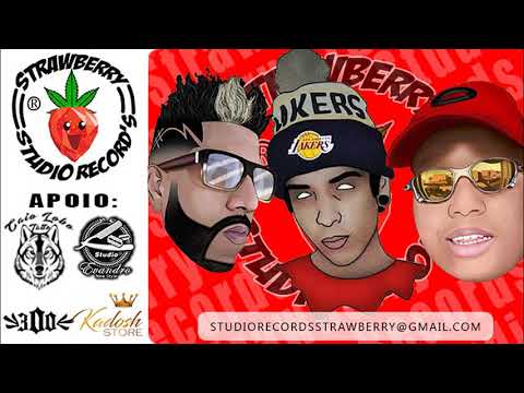 Mc Murilo Azevedo, Mc Chiquinho Ch e Rapha Cardoso - Brisa Louca ( Eulina Record's )