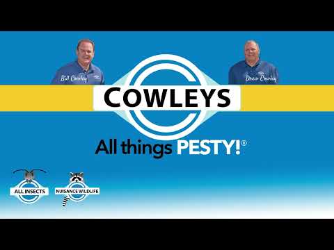 Recliner Loaded with Bed Bugs in East Brunswick, NJ