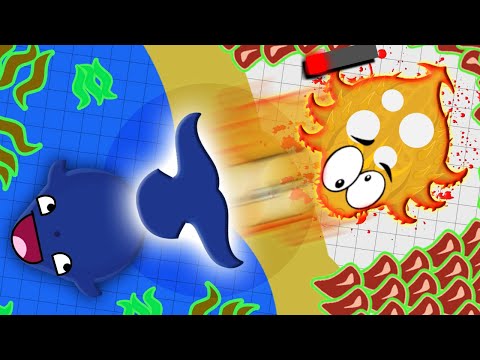 Mope.io OP WHALE SLAPS SEA ANIMALS OUT OF WATER! | OVERPOWERED WHALE TROLLING | Mope.io Golden Age