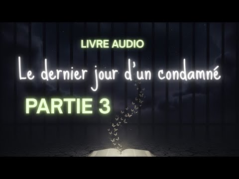 Victor HUGO – Le Dernier Jour d’un Condamné (Partie 3/4) | livre audio
