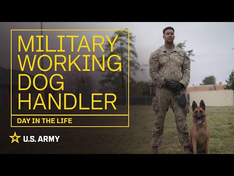 Day in the Life: Military Working Dog Handler | U.S. Army