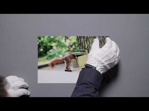 Ausgedruckt: DIE Bildbesprechung: Ein dynamisches Eichhörnchen und zu viel Rinde