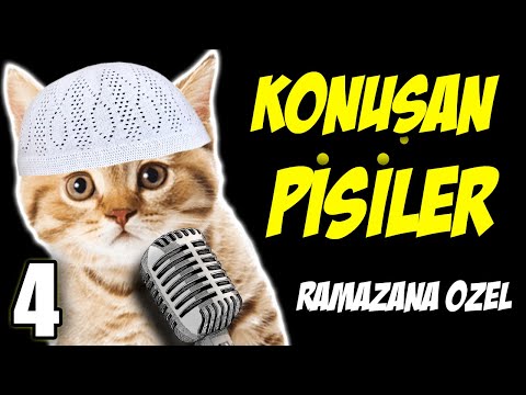 BU KEDİLER AÇLIĞINIZI UNUTTURACAK 😋😋😋 - Konuşan Pisiler Bir Saatlik Ramazana Özel